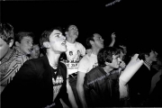 Jam Fans.  Mods. Jam fans 5/12/82 Wembley